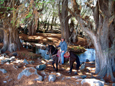 Mexico-Central Mexico-Rancho Mexicana - Colores de Mexico